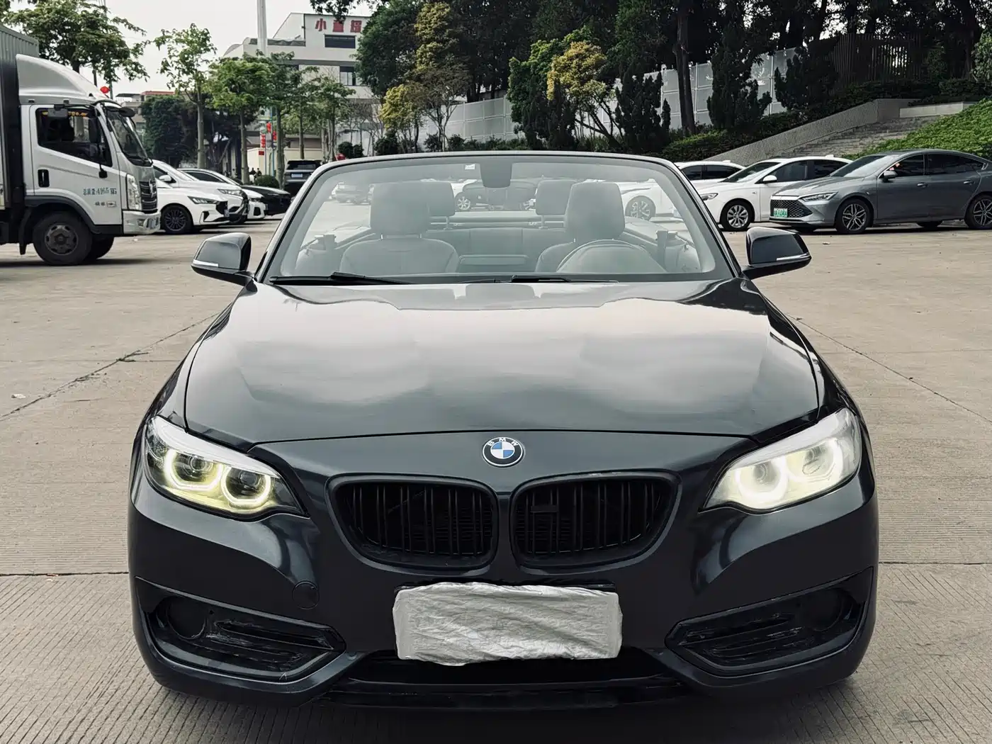 BMW 2 Series (Import) 2018 220i Convertible Coupe Sport Design Package фото 31