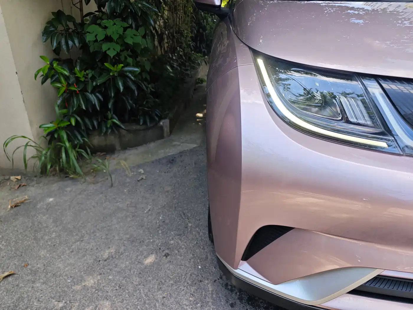 BYD Dolphin 2020 2021 405km Freedom Edition