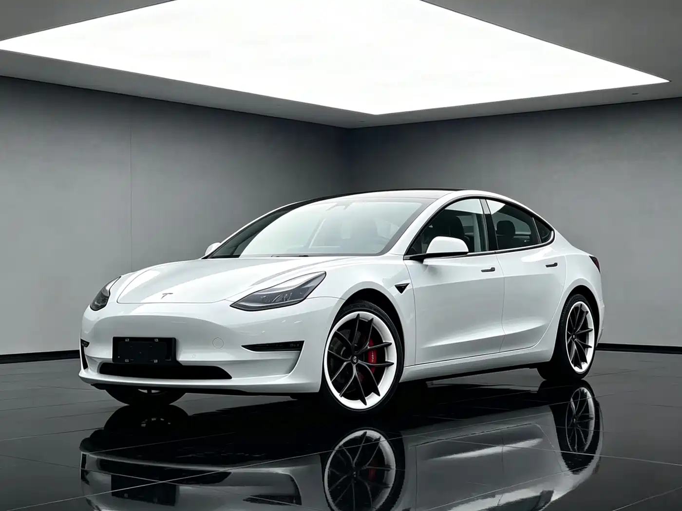 Tesla Model 3 2022 Performance High-Performance AWD фото 12
