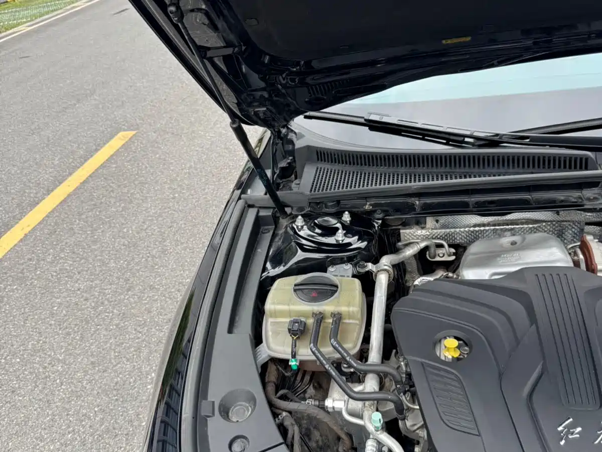 Hongqi H5 2023 2.0T Auto Smart Connect Flag Comfort фото 15