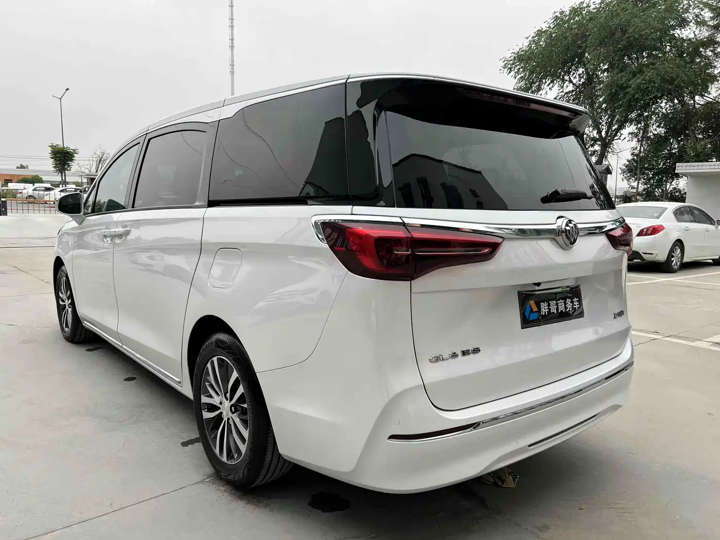 Buick GL8 2023 ES Landmaster Comfort фото 15