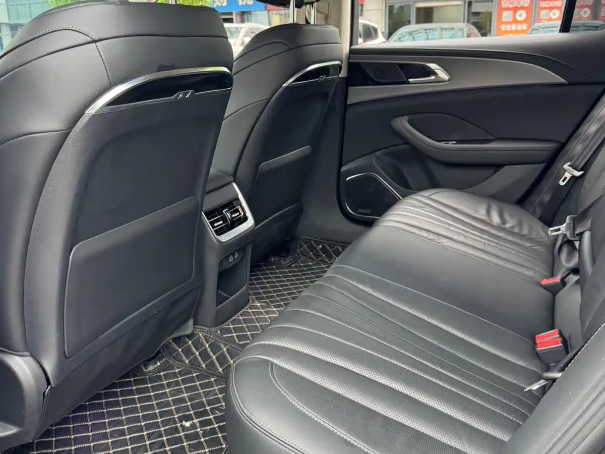 Hongqi H5 2023 2.0T Auto Smart Connect Flag Comfort фото 9