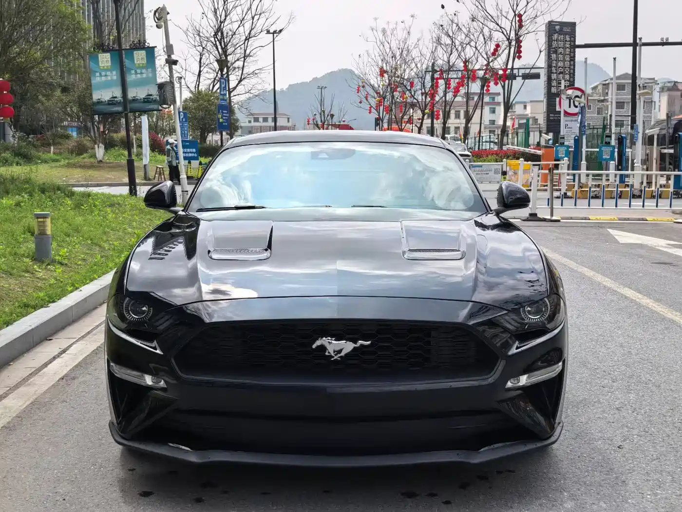 FORD MUSTANG