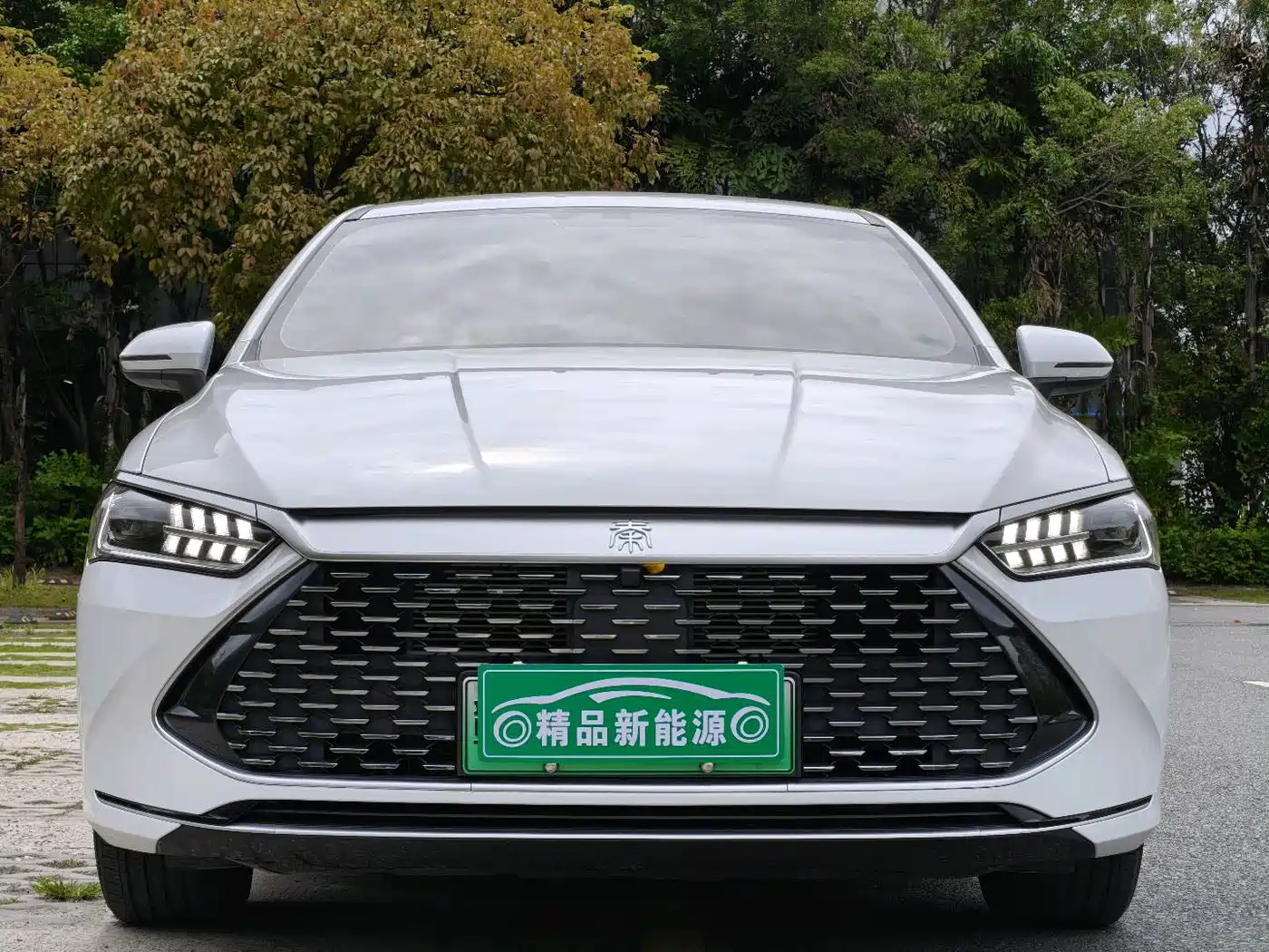 BYD Qin PLUS 2024 Glory Edition DM-i 55KM Leading фото 2