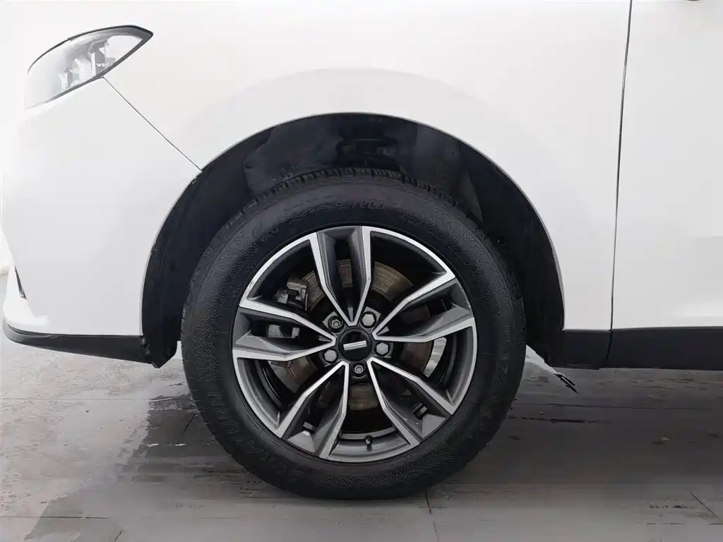 WEI PAI WEI BRAND VV5