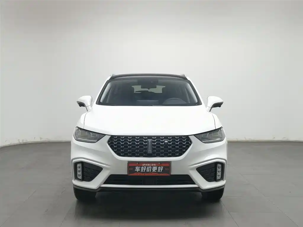 WEI PAI WEI BRAND VV5