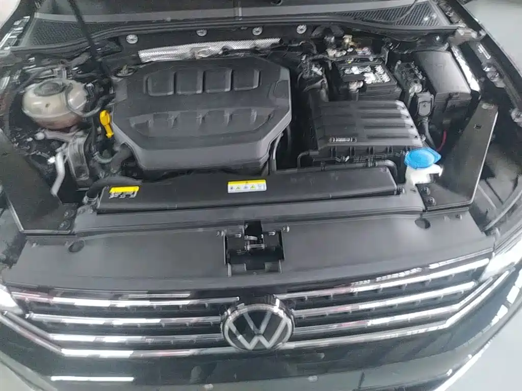 Volkswagen Magotan 2024 2 Million Units Public Sharing Edition 330TSI DSG Luxury фото 20