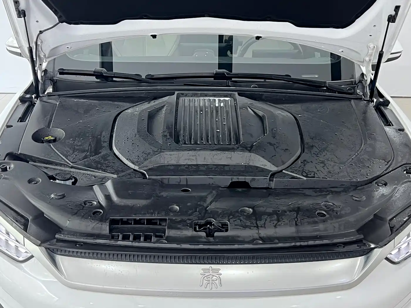 BYD Qin PLUS 2024 Glory Edition EV 510KM Leading фото 4