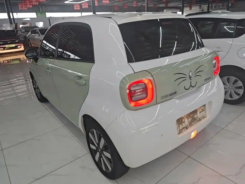 Ora Black Cat 2022 2022 351km Standard (NMC)