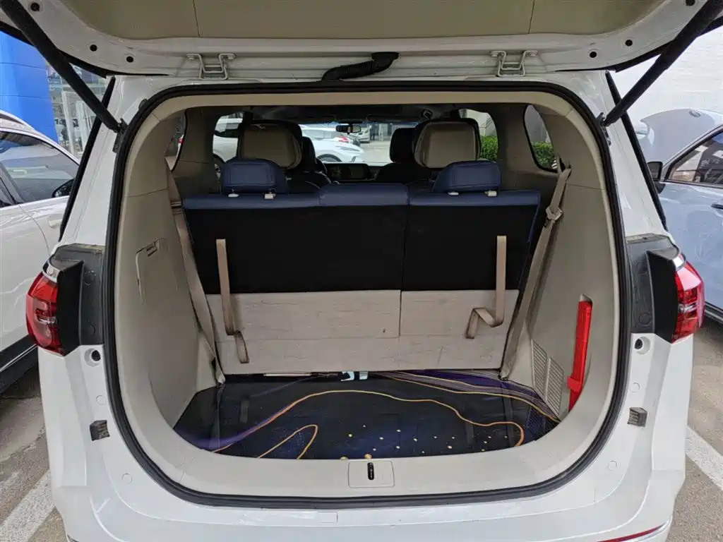 Buick GL8 2023 ES Landmaster Comfort фото 15