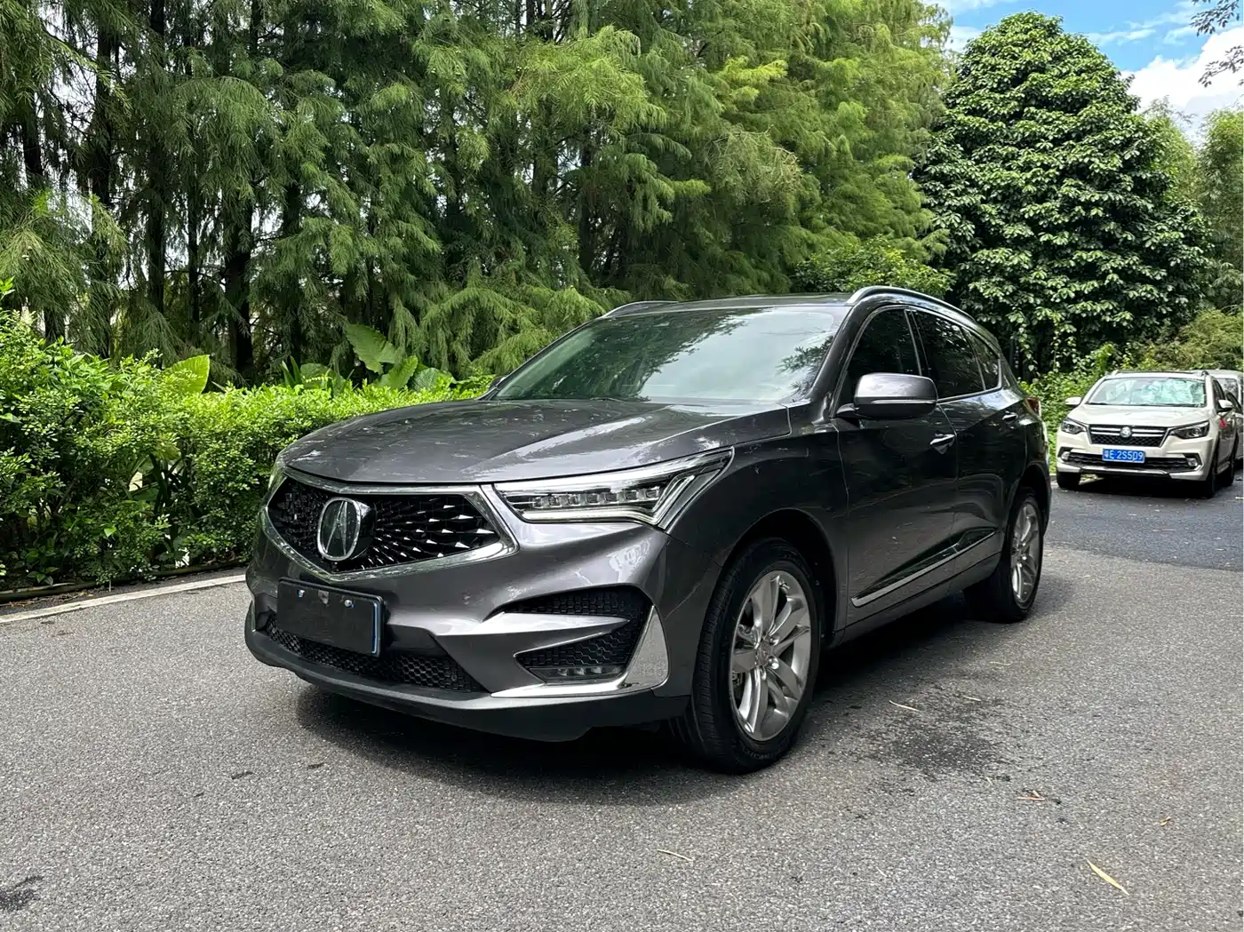Acura RDX 2021 2019 2.0T Diamond Edition SH-AWD China VI