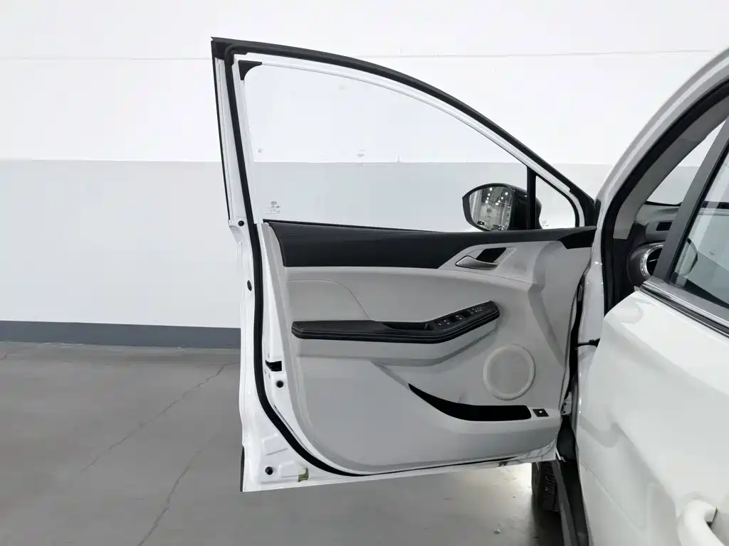 BYD Yuan Pro 2022 2021 401KM Luxury Model
