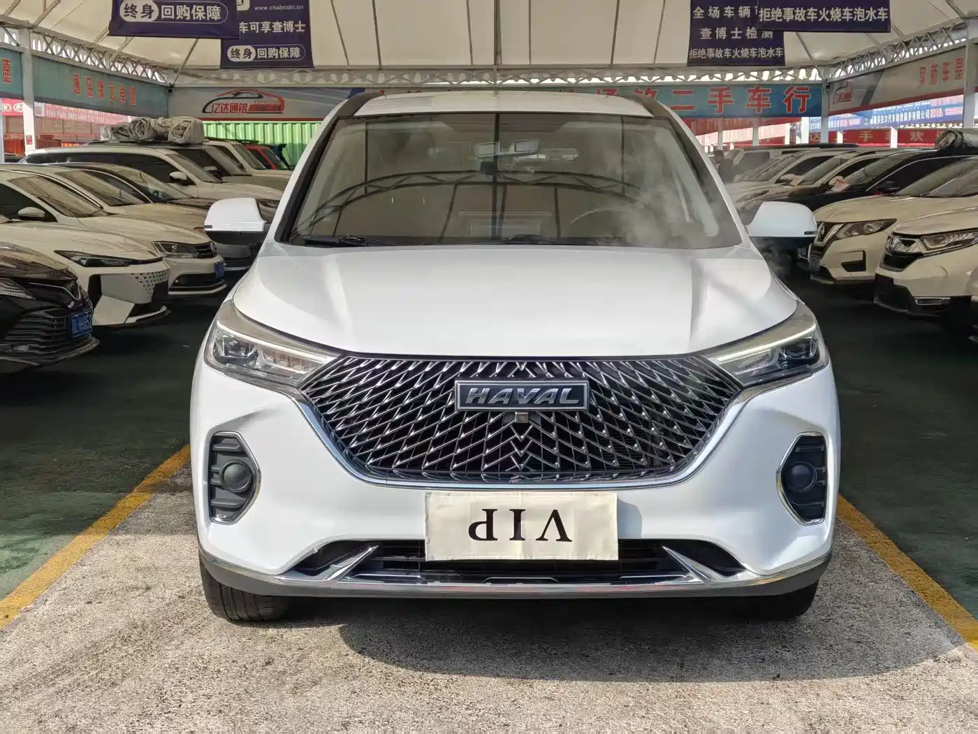 HAVAL M6