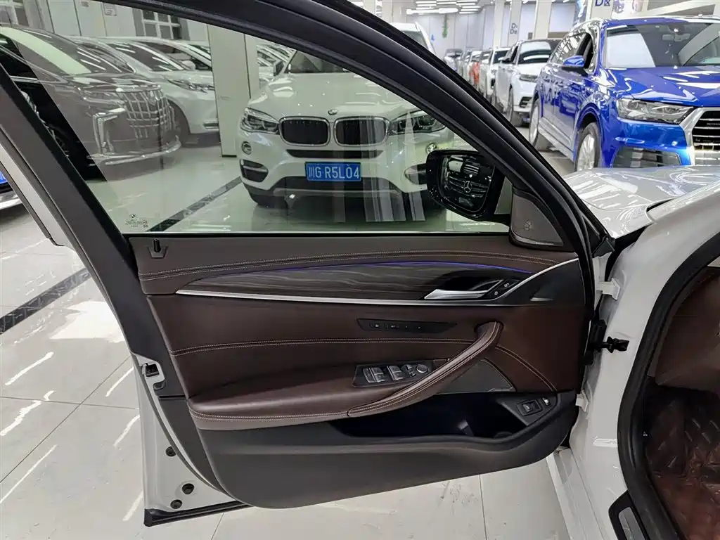 BMW 5 SERIES NEW ENERGY