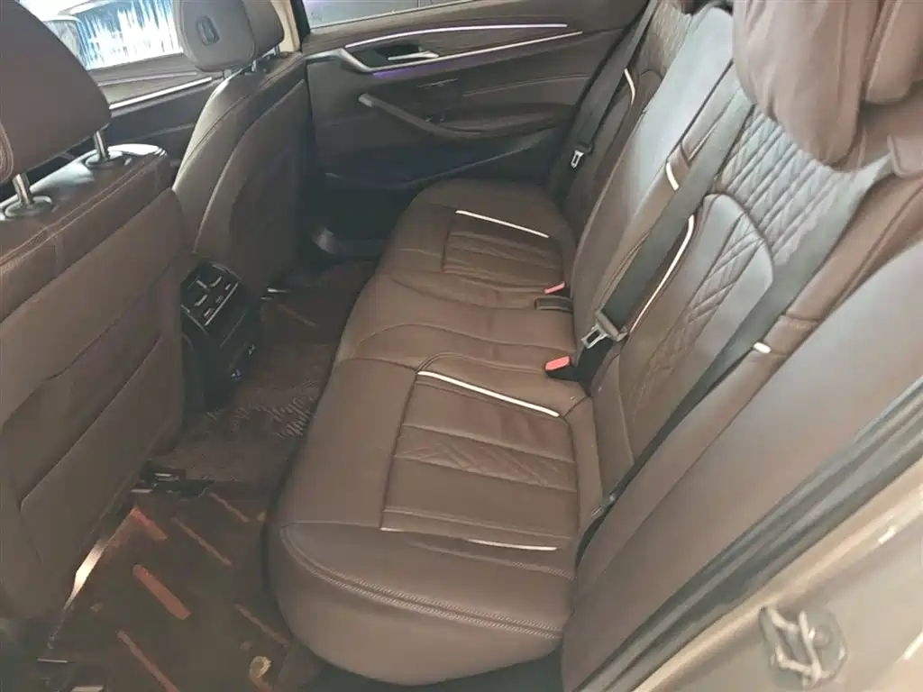 BMW 5 Series New Energy 2020 530Le Range Upgrade Pioneer Edition фото 17