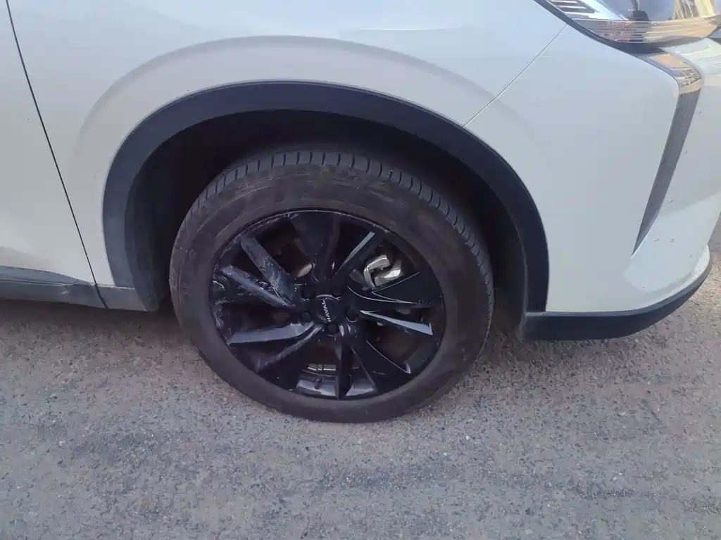 Haval H6 2025 2024 1.5T 2WD Max