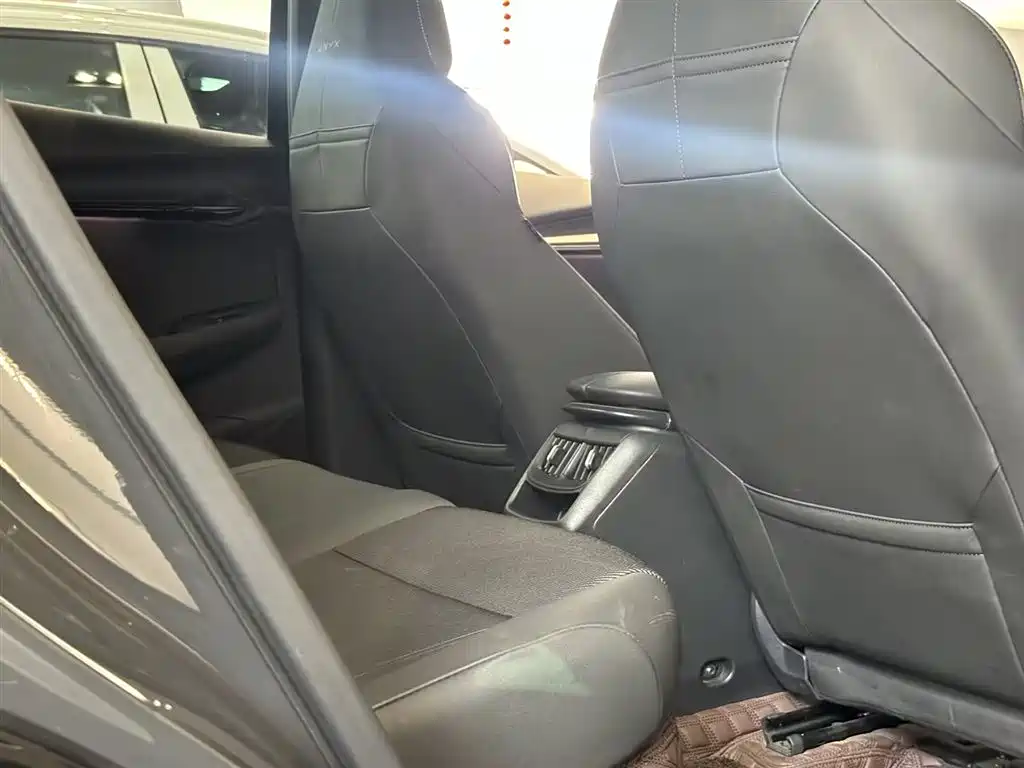 VOLKSWAGEN WITH THE CROWD 06