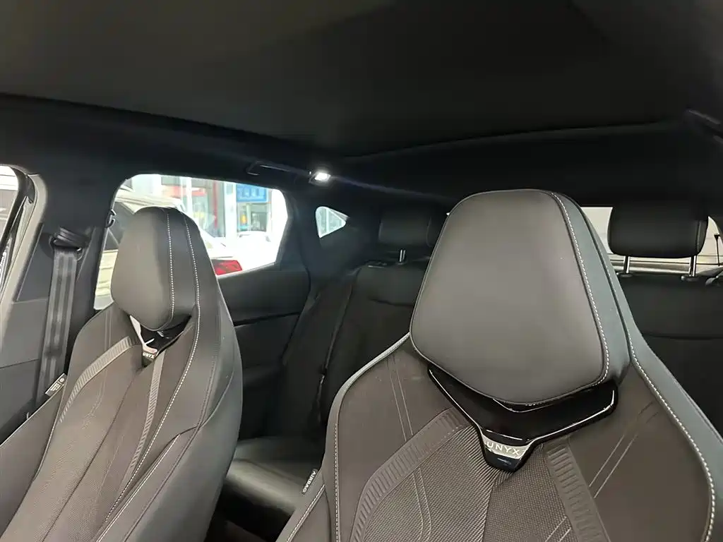 VOLKSWAGEN WITH THE CROWD 06