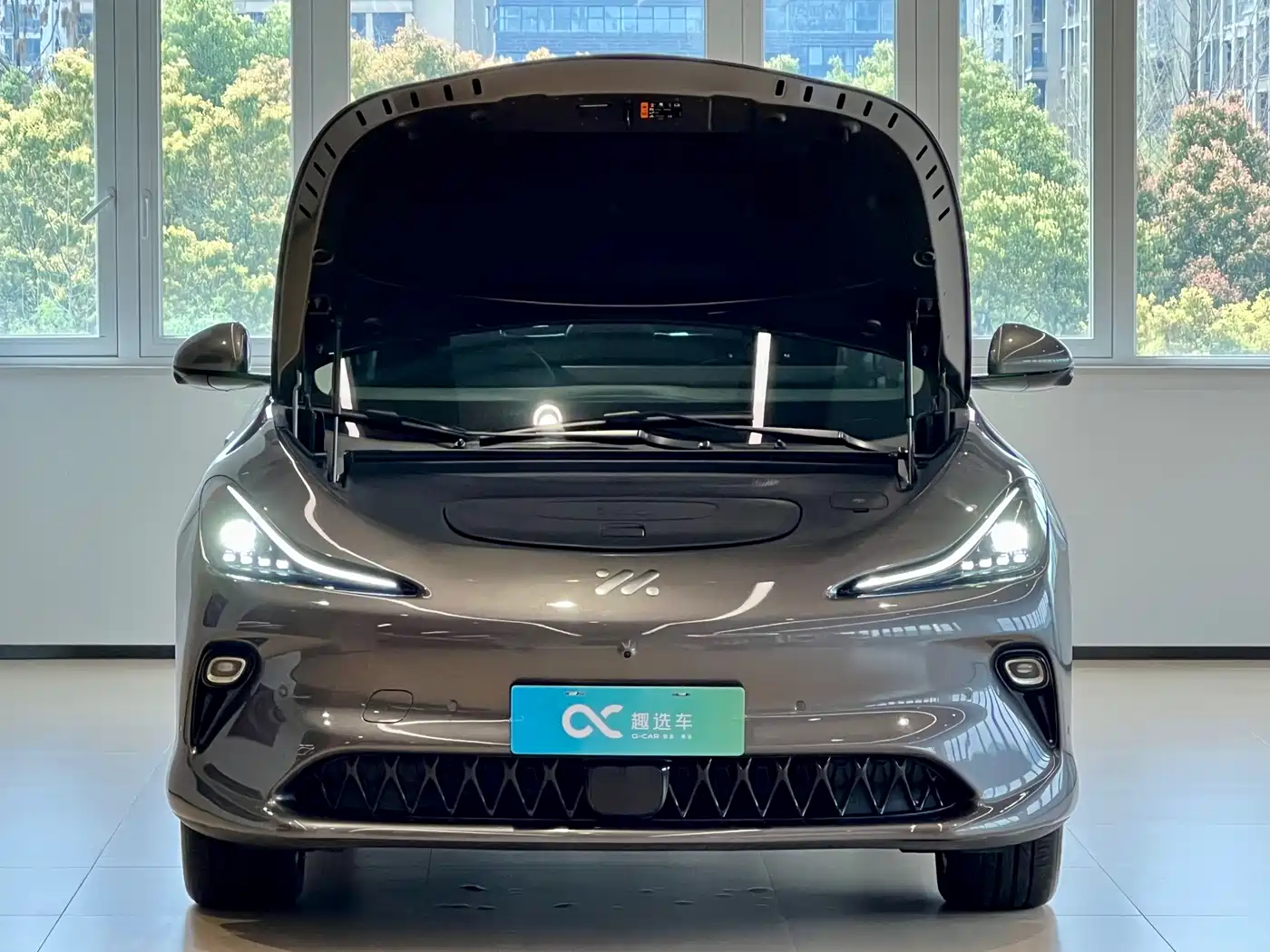 ZHIJI AUTOMOBILE ZHIJI LS6