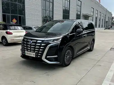 Denza D9