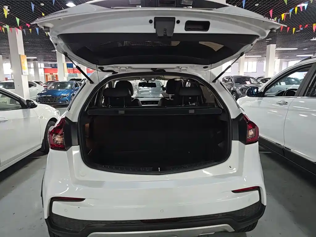 Geely Vision X3 2021 2020 1.5L CVT Elite