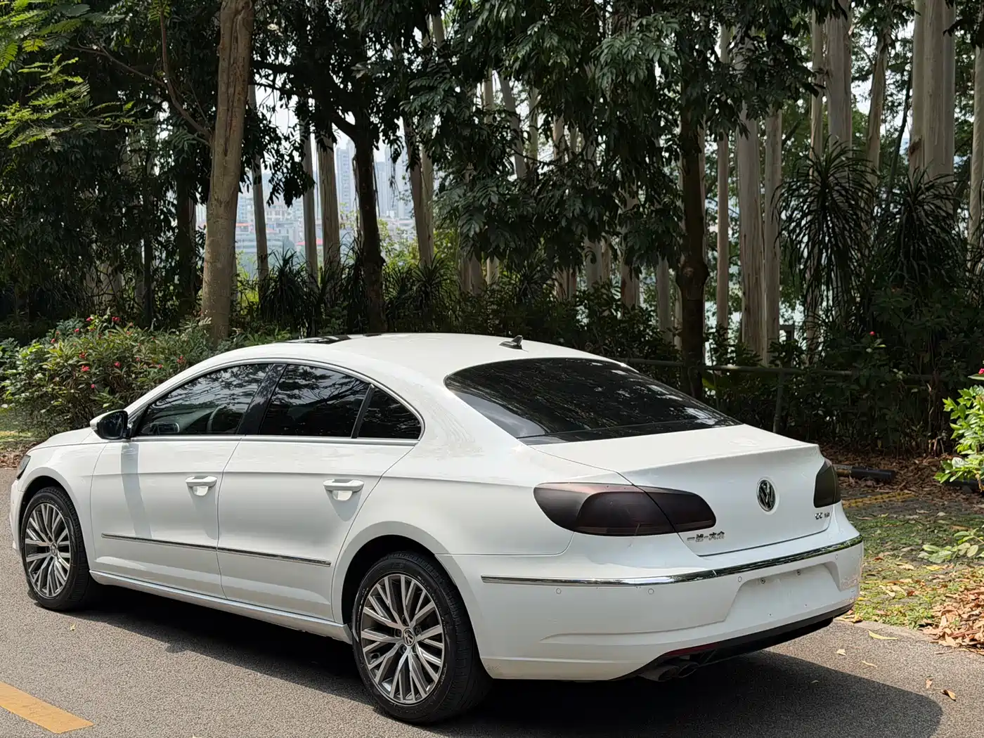 Volkswagen FAW-Volkswagen CC 2013 2.0TSI Ultimate фото 3