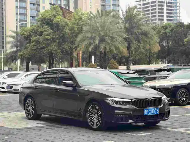 BMW 5 SERIES