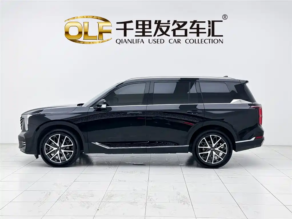 GAC Trumpchi Trumpchi GS8 2025 Pilot Series 2.0TGDI 2WD Luxury Edition 5-seater фото 8