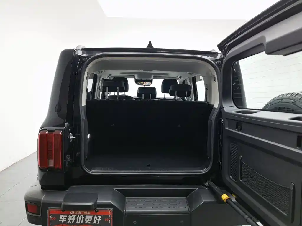 Tank 300 2021 2021 Off-road Version 2.0T Conqueror