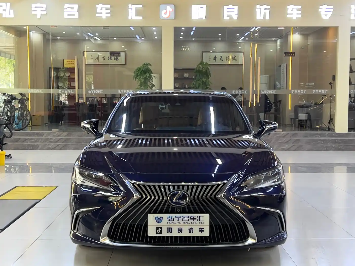 Lexus ES 2018 300h Excellence Edition China V фото 7