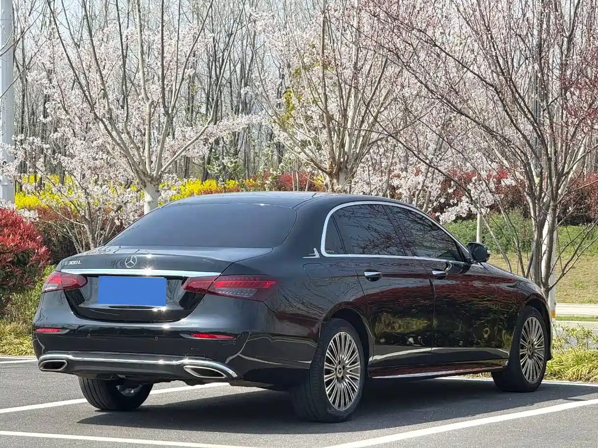 Mercedes-Benz E-Class 2019 Facelift E 300 L Sport Fashion фото 6