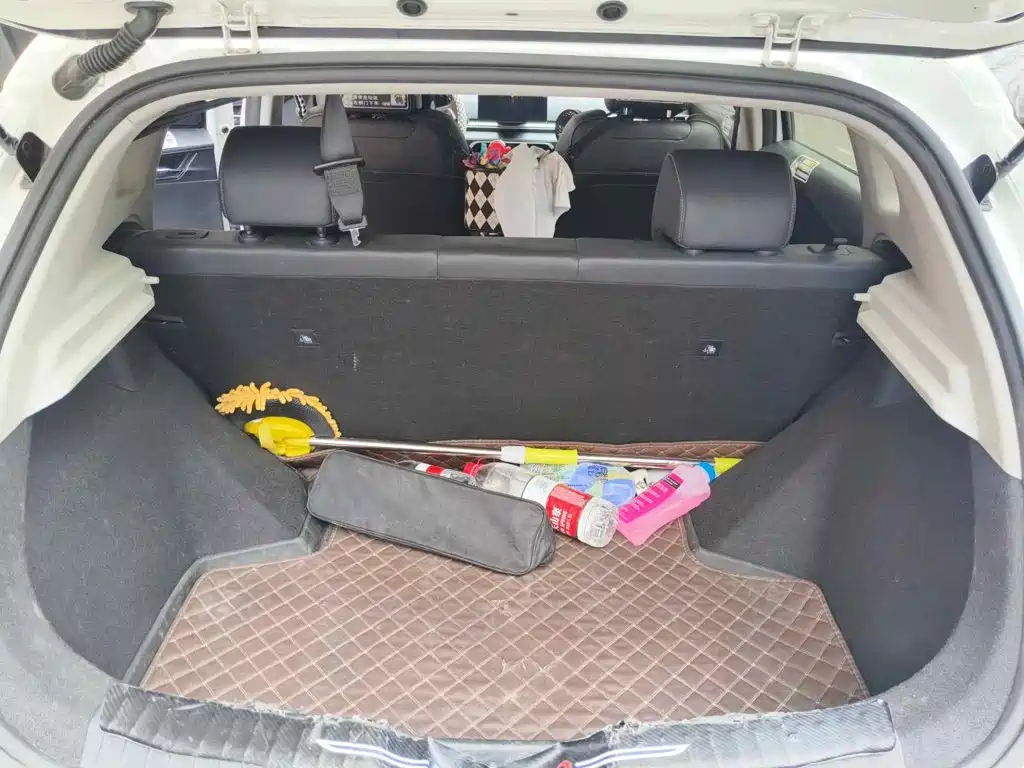 BYD e2 2022 2021 Mobility Edition