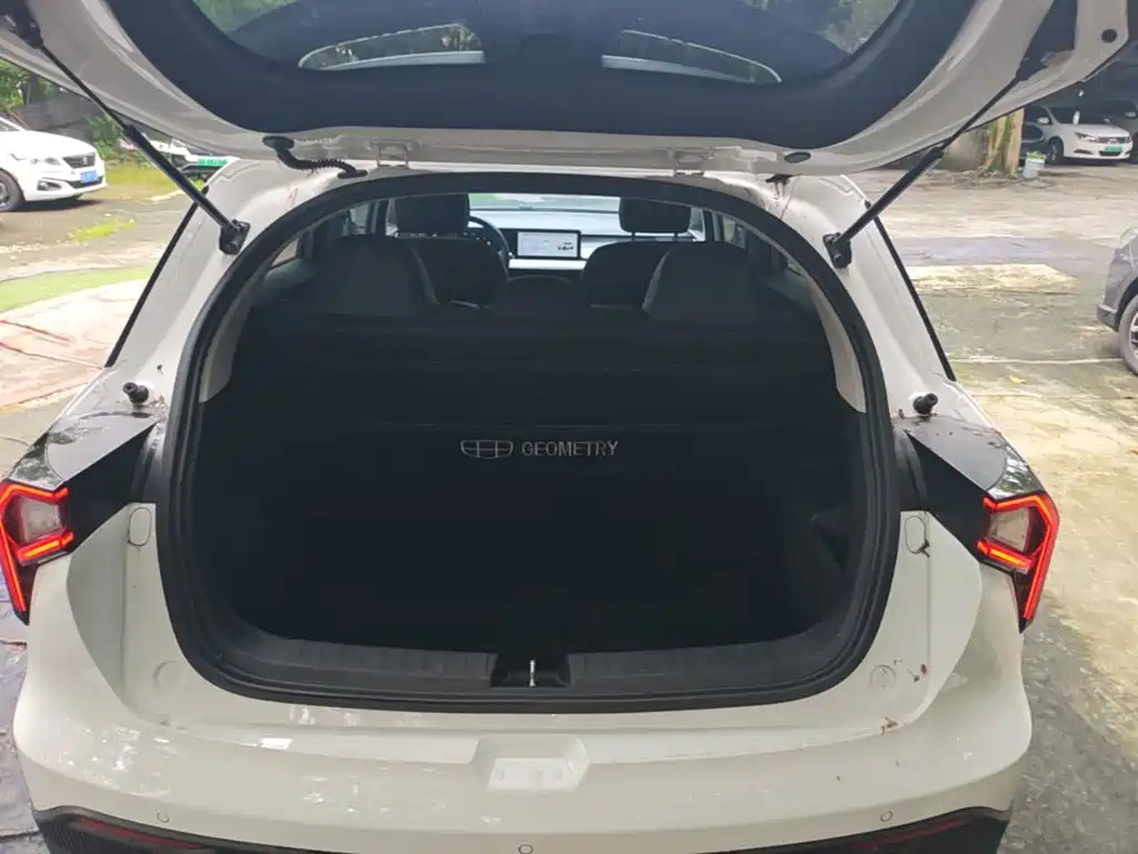 Geely Geometry E Firefly 2024 2024 401km Starlight
