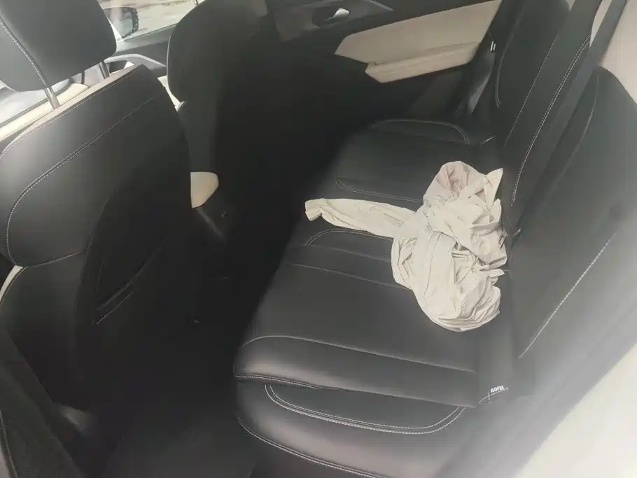 Geely Geometry E Firefly 2023 2024 Model 301km Starlight