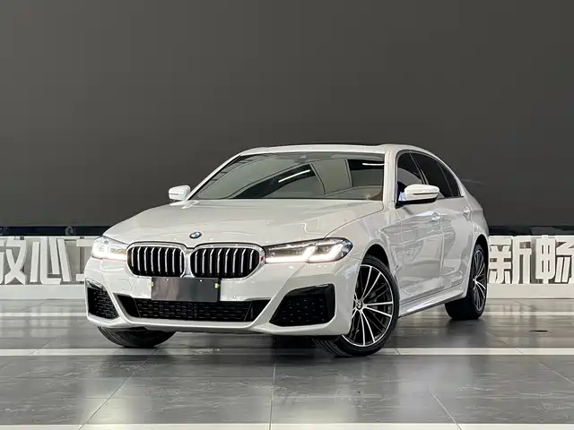BMW 5 Series 2021 530Li Leading M Sport Package — фото 1