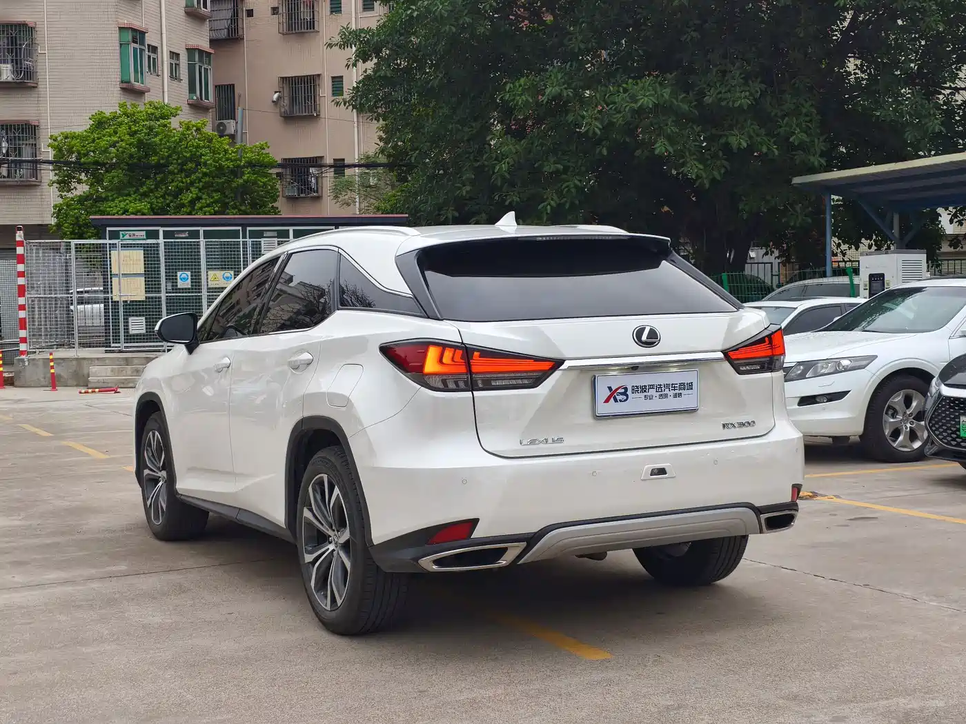 LEXUS RX