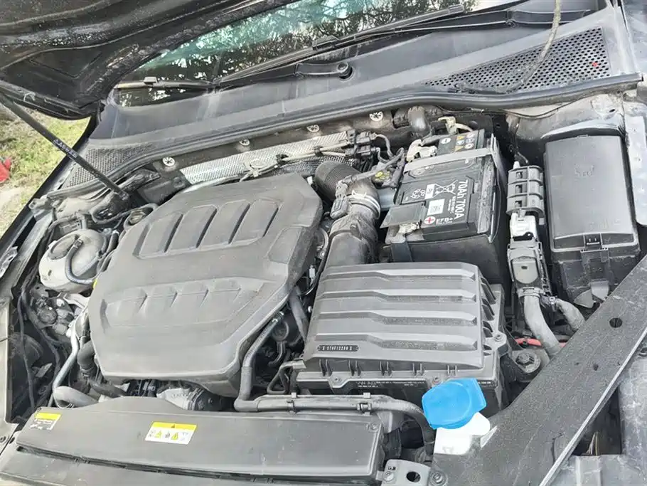 Volkswagen Magotan 2025 Popular Edition 330TSI DSG Luxury фото 10