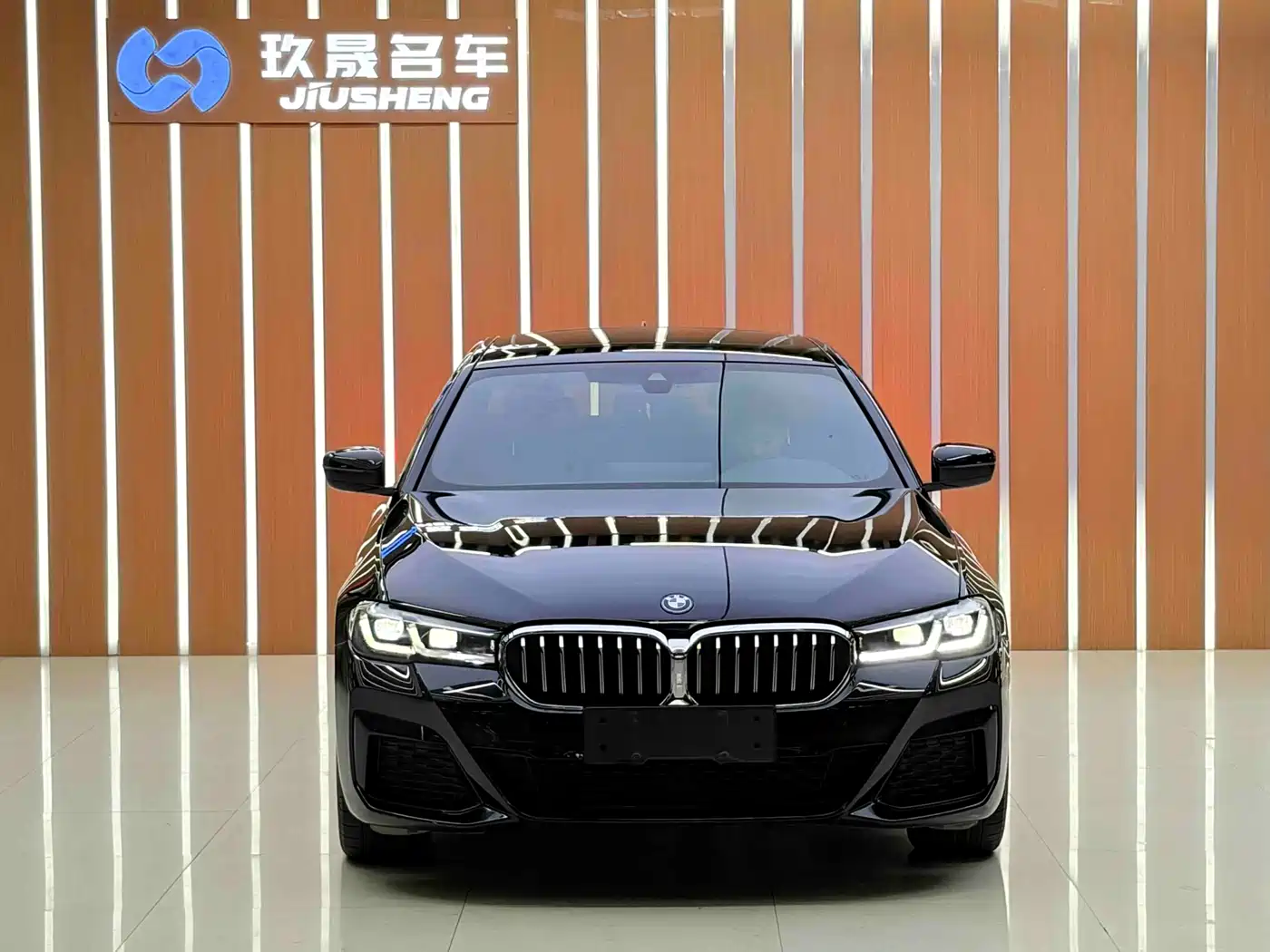 BMW 5 SERIES NEW ENERGY