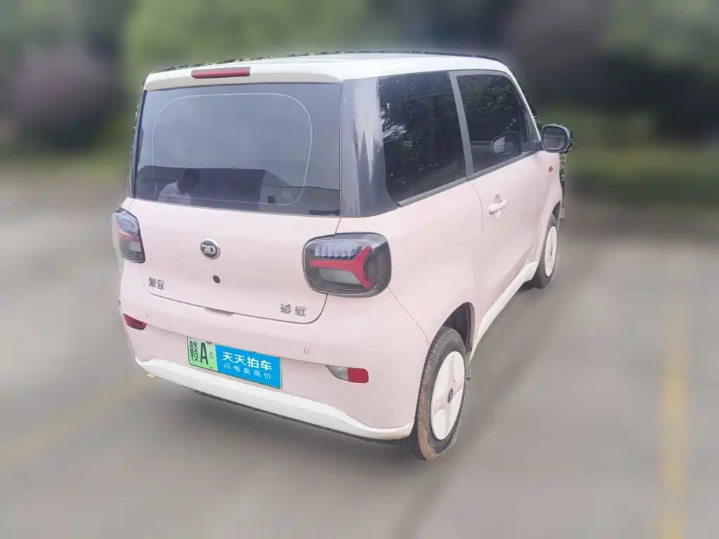 2024 Zhido Rainbow
