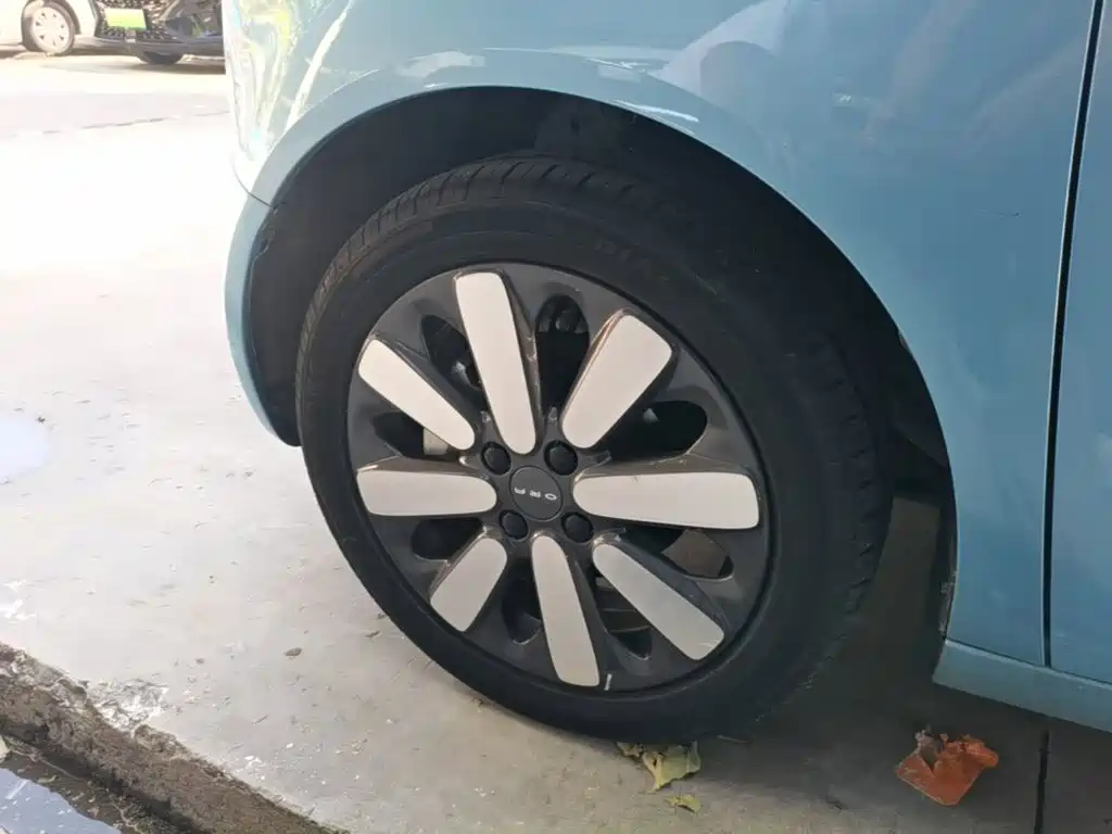 Ora Black Cat 2019 2019 351km Goddess Edition
