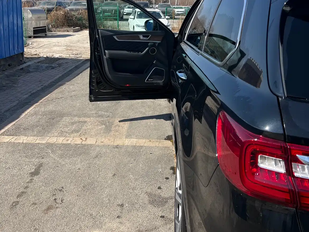 Hongqi HS7 2022 3.0T Auto 4WD Smart Connect Flagship 7-Seater фото 7
