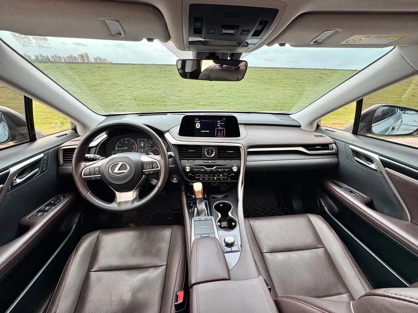 Lexus RX 2020 300 4WD Elegance Edition China VI фото 5