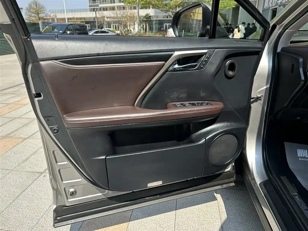 Lexus RX 2020 300 4WD Elegance Edition China VI фото 21
