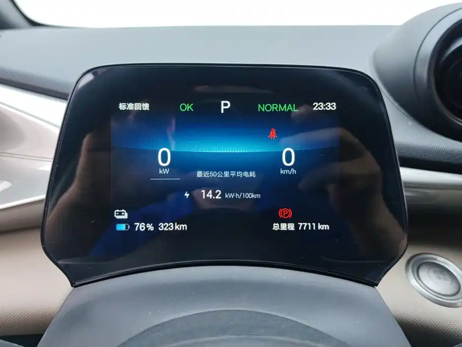 BYD Dolphin 2026 2025 420km Freedom Edition