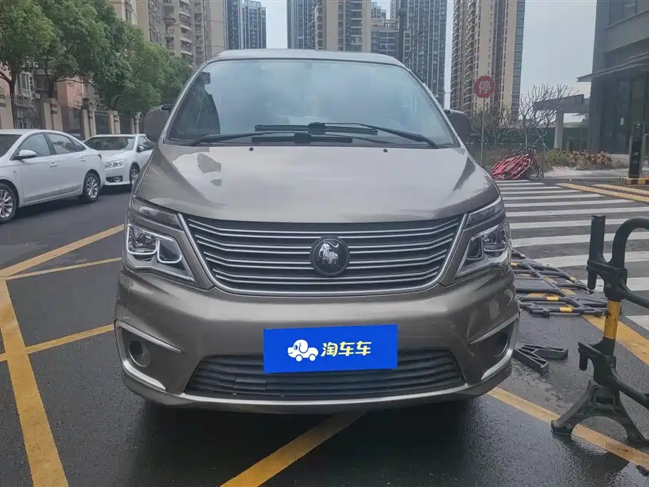DONGFENG LINGZHI