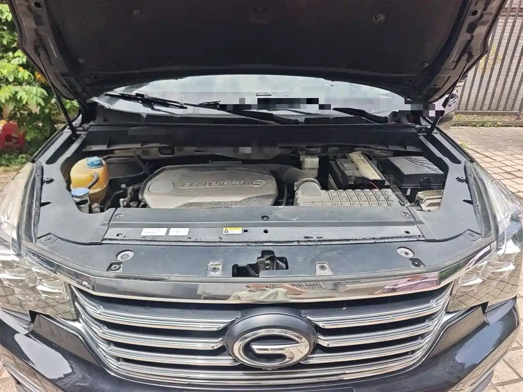 GAC Trumpchi Trumpchi GS8 2017 320T 2WD Luxury Smart Connect (7-seater) фото 11