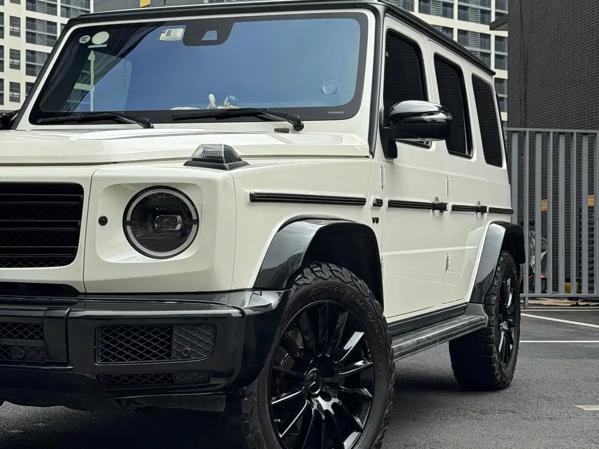 Mercedes-Benz G-Class 2019 G 500 фото 7