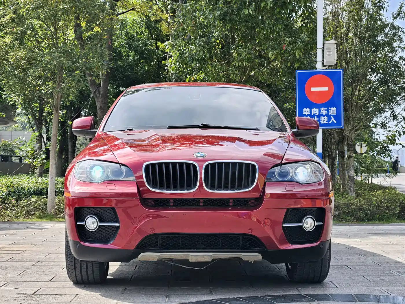 BMW X6 2011 xDrive35i фото 2