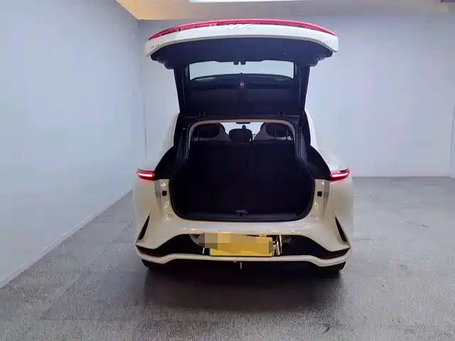 ZHIJI AUTOMOBILE ZHIJI LS7