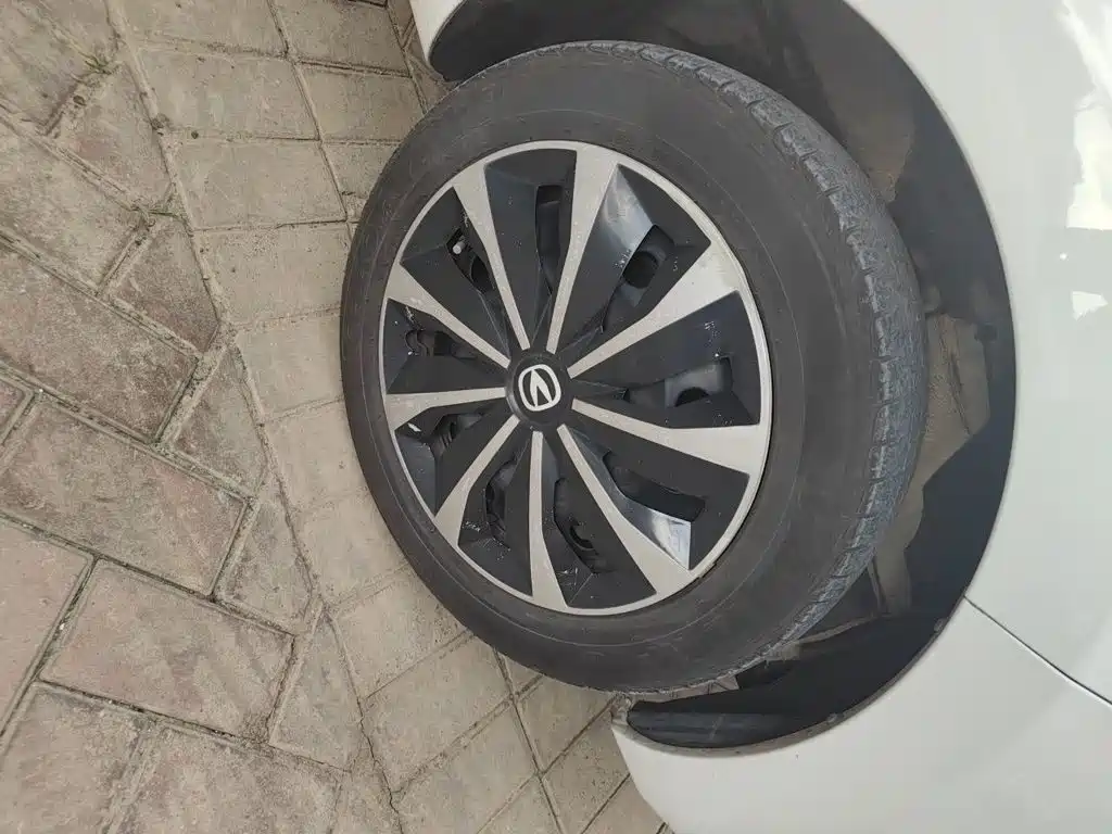 Changan Benben E-Star 2022 2021 National Edition Heartjoy LFP (31.86kWh)